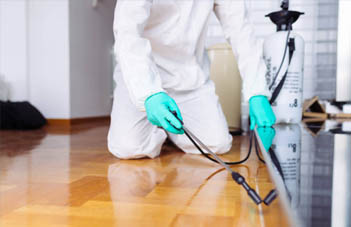 Information on our commercial exterminator & Pest Control Cardiff and South Wales. We offer pest control in Swansea and pest control in Porthcawl. l