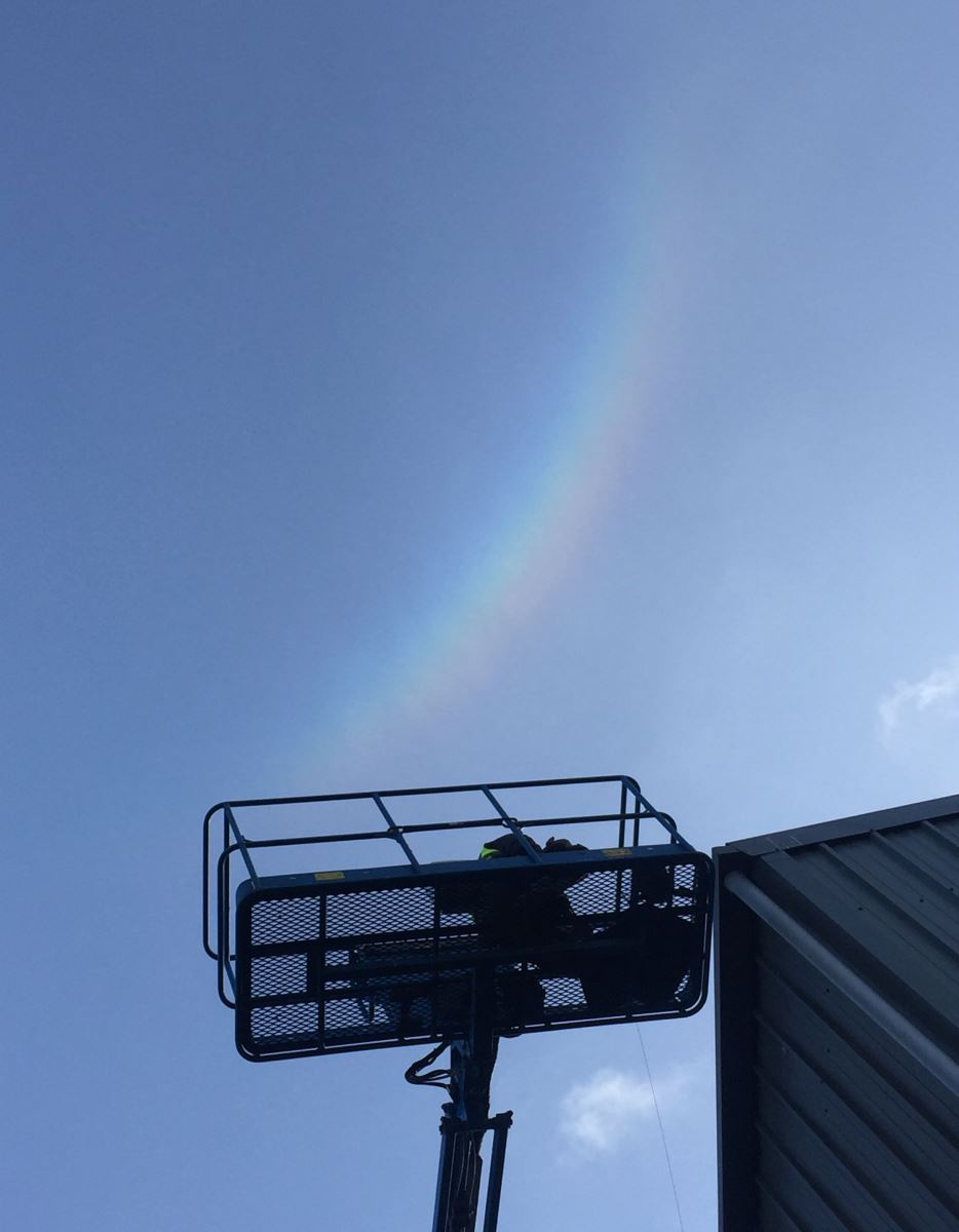 Bird Netting Rainbow