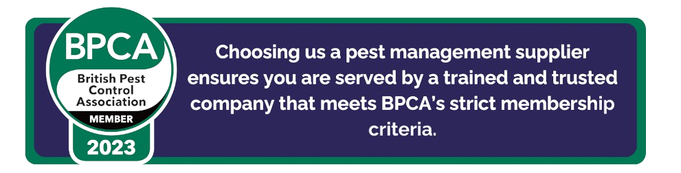 Pest control porthcawl, rodent control cardiff, preventative pest control, pest control swanaea