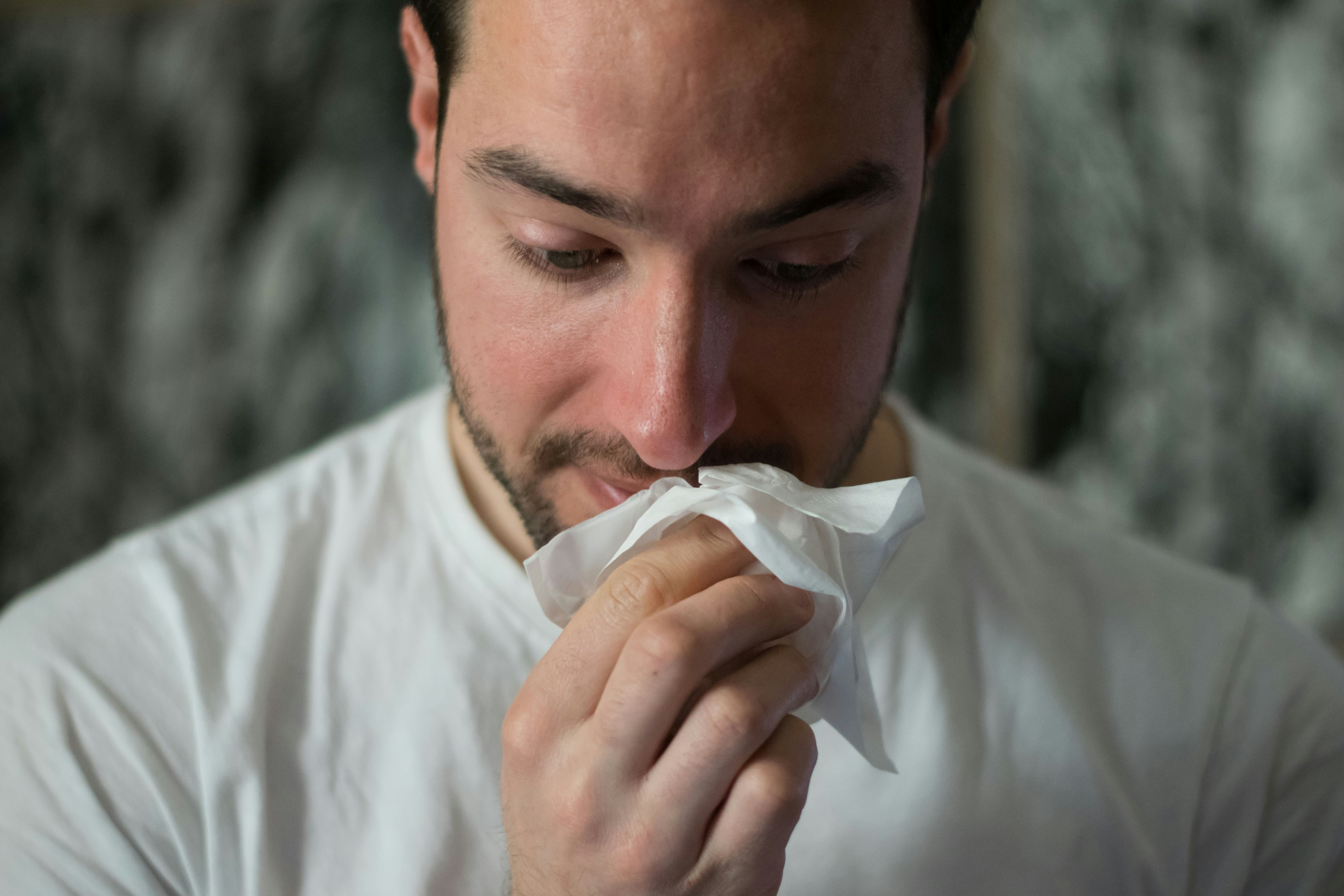 Springtime Allergies: How Pests Can Contribute to Your Symptoms